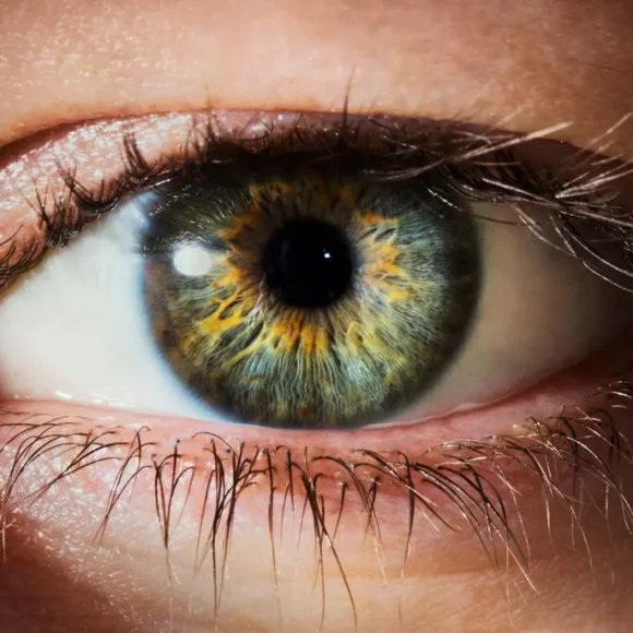 Buy human corneal online 580x580