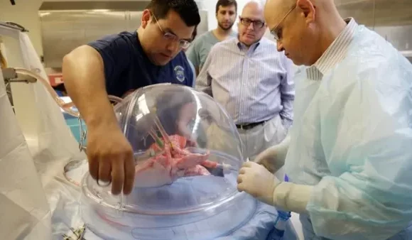 Real Human Lungs 600x338 1 580x338