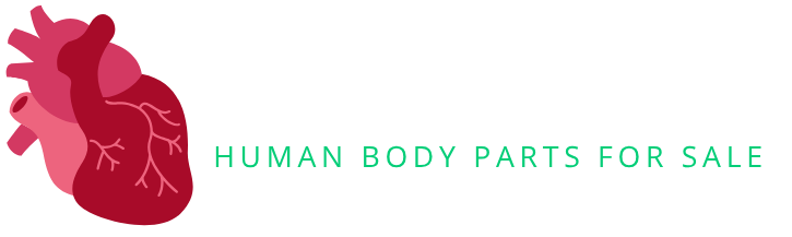 buyhumanorgans